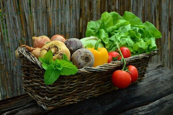 Sezonsko povrće je zdravije. (Foto: Pixabay.com)
