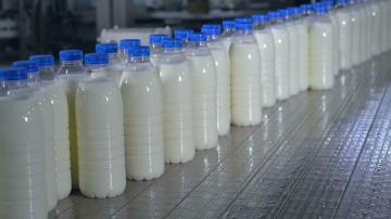 Ono što stvarno čini mlijeko? Govori o tome kako razlikovati varanje