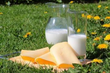 TOP 8 glavnih mitova o mlijeku