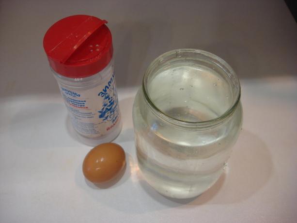 Fotografija autora (sol, vrč za vodu, jaje, pomicanje u desno)