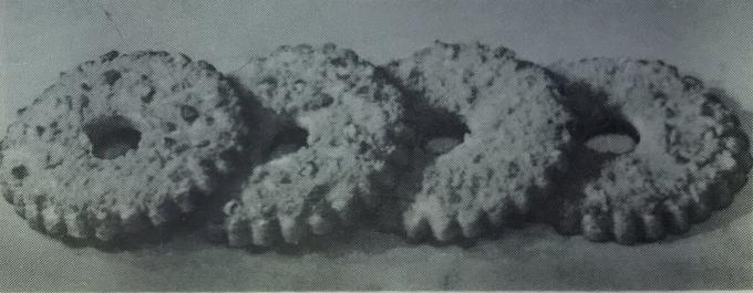 Torta „kolača prsten.” Fotografija iz knjige „Proizvodnja kolača i torti”, 1976 
