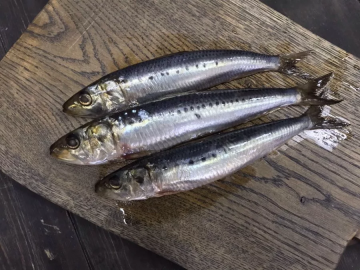 Koja je tajna okusa riblje iwashi sovjetskim vremenima