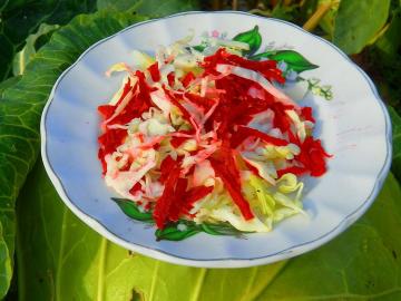 Salata „Jesen metle” Čišćenje crijeva u jutarnjim satima. učinak mršavljenja. Ogledalo vikati Hura!