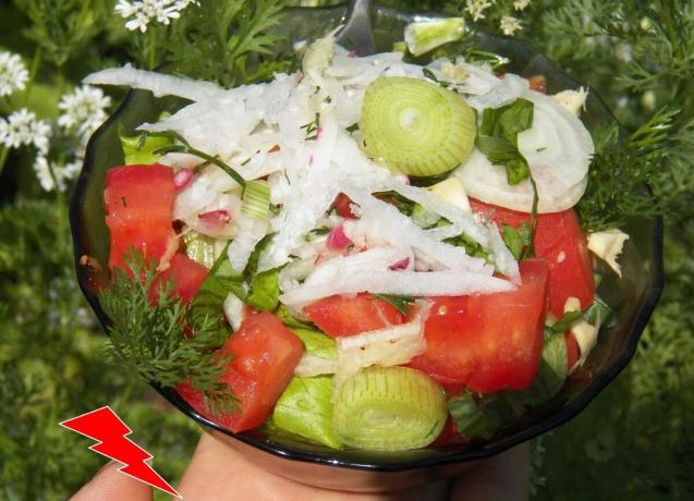 Predložena verzija salata vrlo ektraktiven te je pogodan samo za zdrave ljude, pa vidi za sebe koji se proizvodi ili se ne ide u vašem slučaju i prilagoditi salatu, uklanjanje neprikladan komponente.