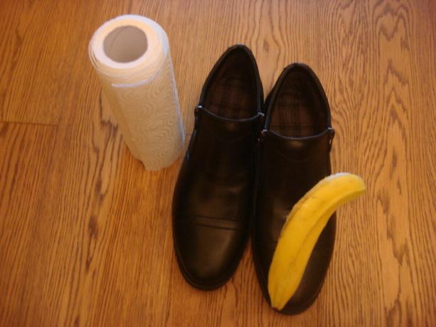 Slika preuzeta od strane autora (poljski cipele oguliti od banana)