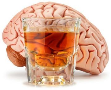 Alkohol će nastaviti uništavati mozak čak i 1,5 mjeseca nakon prestanka