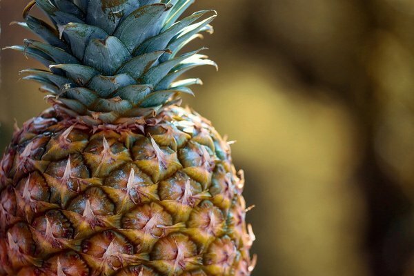 Pojedite par kriški ananasa i težina će se rastopiti. (Foto: Pixabay.com)