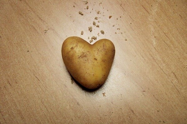 Krumpir će pomoći kod bolesti srca (Foto: Pixabay.com)