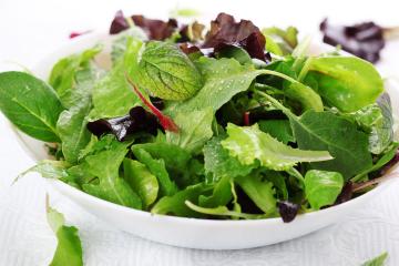 Zelena salata: 10 vrsta
