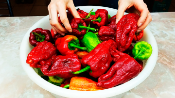 Naše omiljene paprike za zimu: bez obzira koliko kuhala