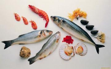 Kako kuhati plodovima mora i morske ribe?