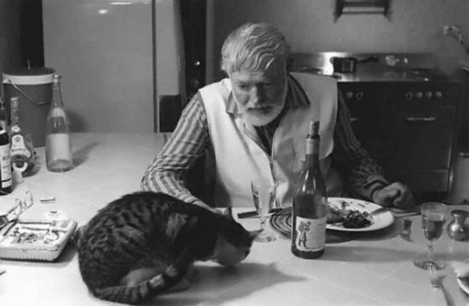 Ernest Hemingway je večera s mačkom.