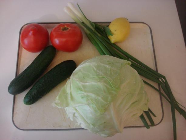 Slika preuzeta od strane autora (glavni sastojci povrće, salata)